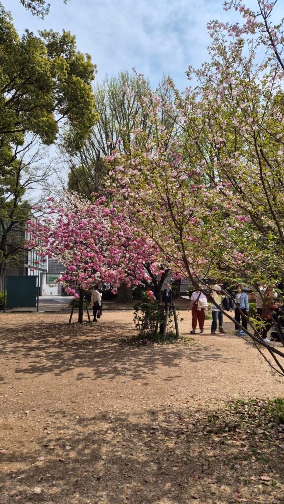 ueno park