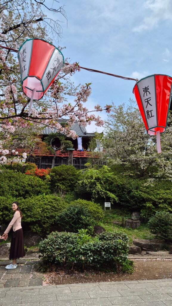 lantern ueno park