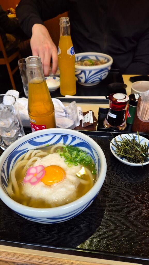 udon noodles