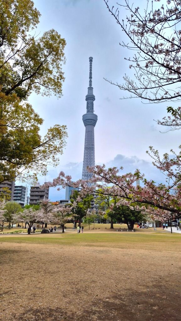 sumida park